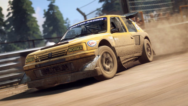 Dirt Rally 2.0收集与版本栏目